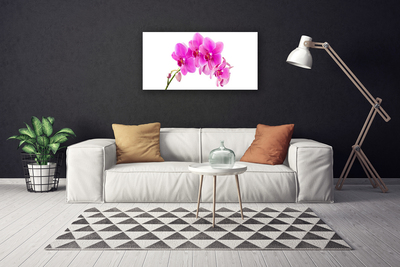 Canvas doek foto Orchidee bloem orchidee