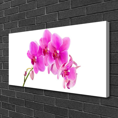 Canvas doek foto Orchidee bloem orchidee