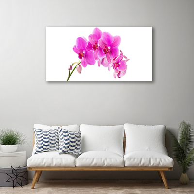 Canvas doek foto Orchidee bloem orchidee