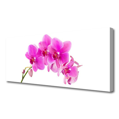 Canvas doek foto Orchidee bloem orchidee