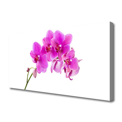 Canvas doek foto Orchidee bloem orchidee