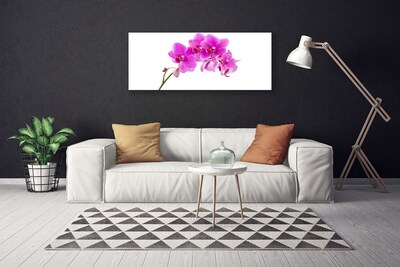 Canvas doek foto Orchidee bloem orchidee