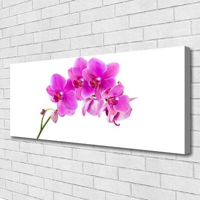 Canvas doek foto Orchidee bloem orchidee