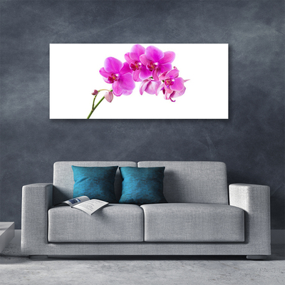 Canvas doek foto Orchidee bloem orchidee