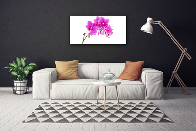 Canvas doek foto Orchidee bloem orchidee