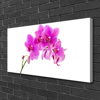 Canvas doek foto Orchidee bloem orchidee