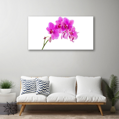 Canvas doek foto Orchidee bloem orchidee