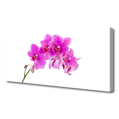 Canvas doek foto Orchidee bloem orchidee