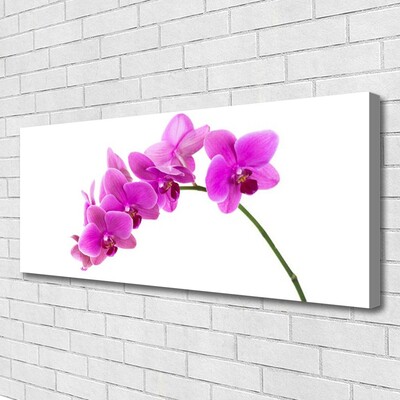 Canvas doek foto Orchidee bloem orchidee