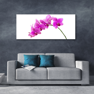 Canvas doek foto Orchidee bloem orchidee