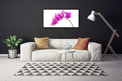 Canvas doek foto Orchidee bloem orchidee