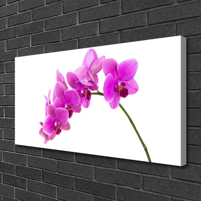 Canvas doek foto Orchidee bloem orchidee