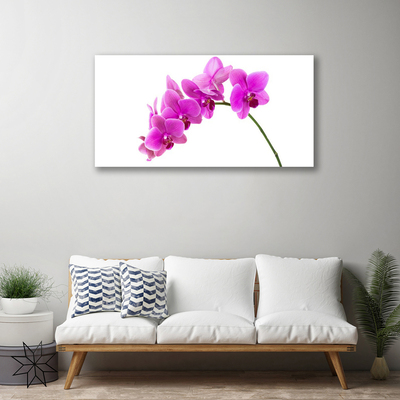 Canvas doek foto Orchidee bloem orchidee