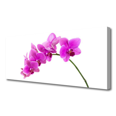 Canvas doek foto Orchidee bloem orchidee