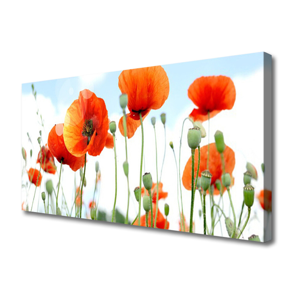Canvas doek foto Veld met klaprozen bloemen weide natuur