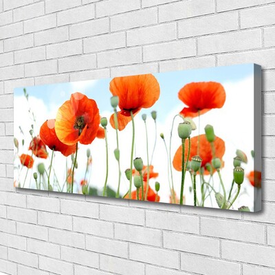 Canvas doek foto Veld met klaprozen bloemen weide natuur