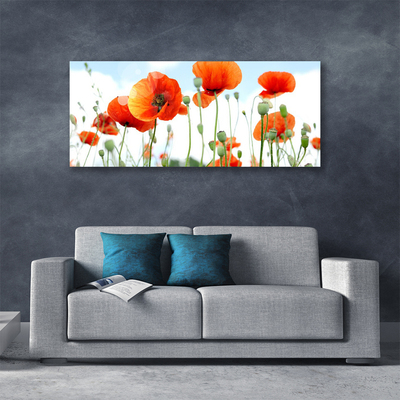 Canvas doek foto Veld met klaprozen bloemen weide natuur