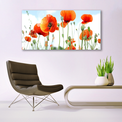 Canvas doek foto Veld met klaprozen bloemen weide natuur