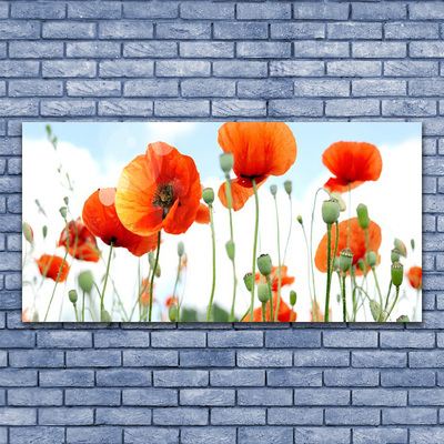 Canvas doek foto Veld met klaprozen bloemen weide natuur