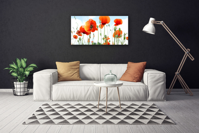 Canvas doek foto Veld met klaprozen bloemen weide natuur