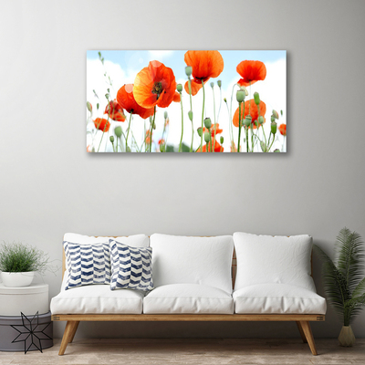 Canvas doek foto Veld met klaprozen bloemen weide natuur