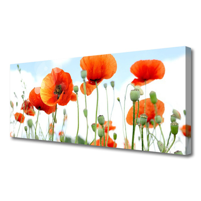 Canvas doek foto Veld met klaprozen bloemen weide natuur