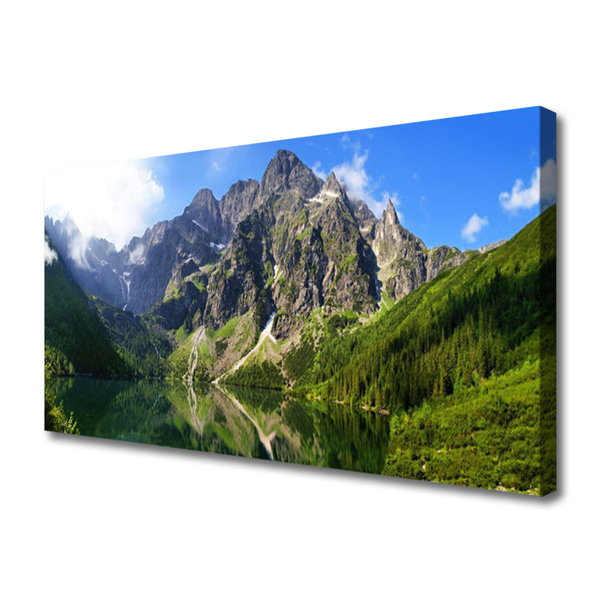 Canvas doek foto Tatragebergte forest sea eye