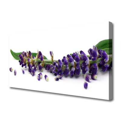 Canvas doek foto Lavender still life