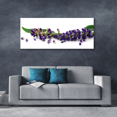 Canvas doek foto Lavender still life