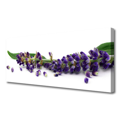 Canvas doek foto Lavender still life