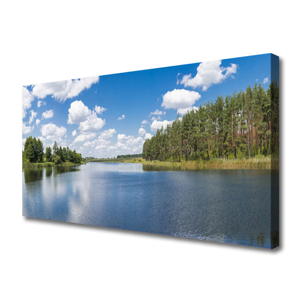 Canvas doek foto Lake forest landscape