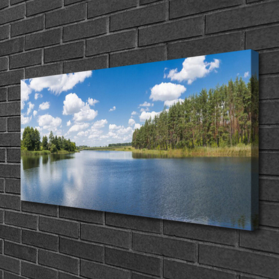 Canvas doek foto Lake forest landscape