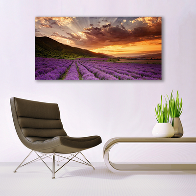 Canvas doek foto Field of lavender sunset
