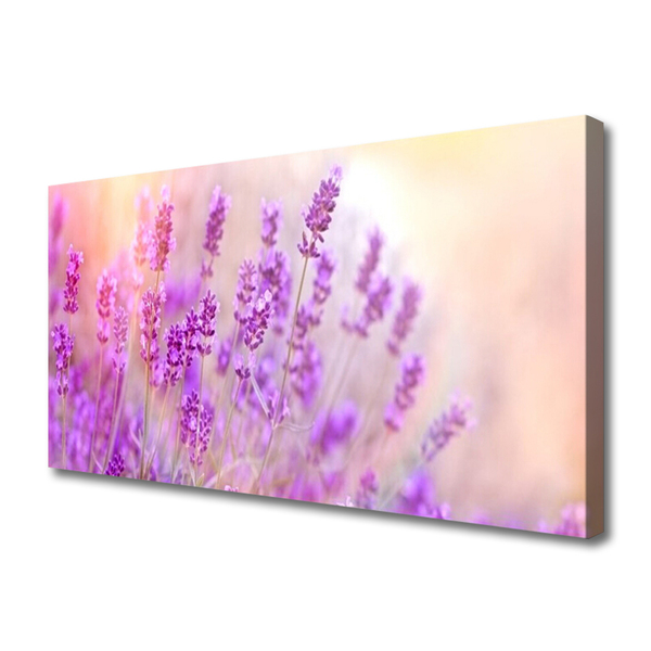 Canvas doek foto Lavender field of sun flowers