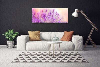 Canvas doek foto Lavender field of sun flowers