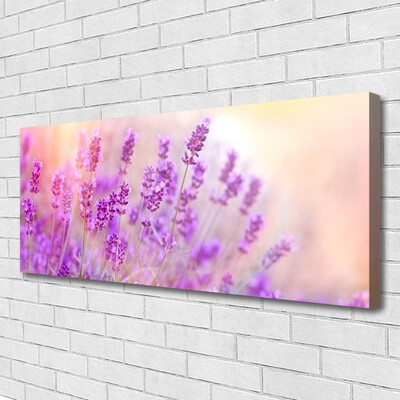 Canvas doek foto Lavender field of sun flowers