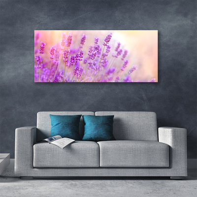 Canvas doek foto Lavender field of sun flowers