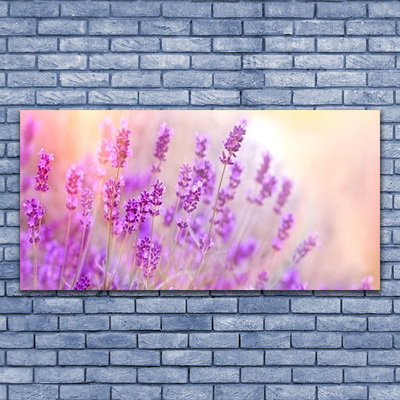 Canvas doek foto Lavender field of sun flowers