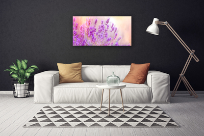 Canvas doek foto Lavender field of sun flowers