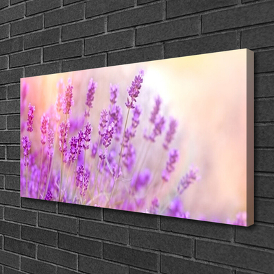 Canvas doek foto Lavender field of sun flowers