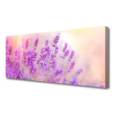 Canvas doek foto Lavender field of sun flowers