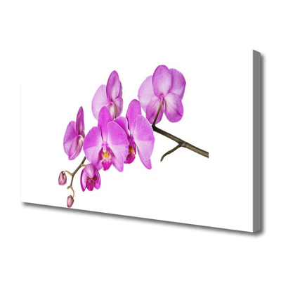 Canvas doek foto Orchidee orchidee bloemen