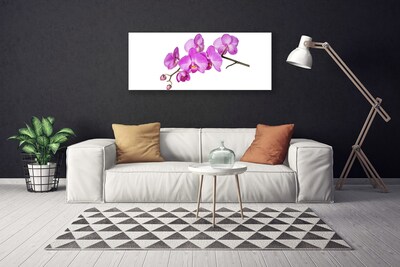 Canvas doek foto Orchidee orchidee bloemen