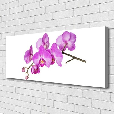 Canvas doek foto Orchidee orchidee bloemen