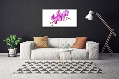 Canvas doek foto Orchidee orchidee bloemen