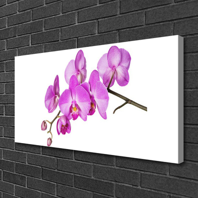 Canvas doek foto Orchidee orchidee bloemen