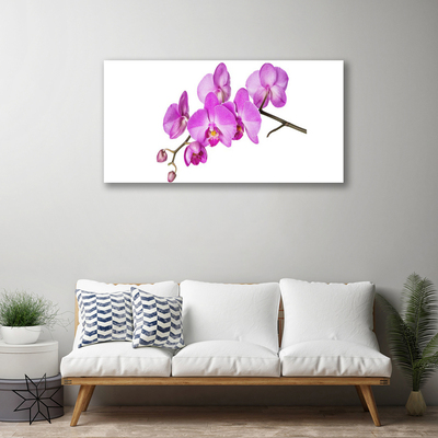 Canvas doek foto Orchidee orchidee bloemen