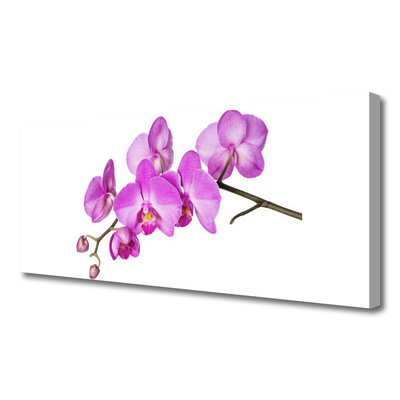 Canvas doek foto Orchidee orchidee bloemen