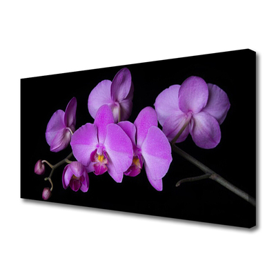 Canvas doek foto Orchidee orchidee bloemen