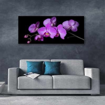 Canvas doek foto Orchidee orchidee bloemen